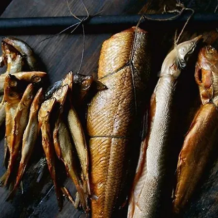 Cozy And Comfortable Homes With Terraces